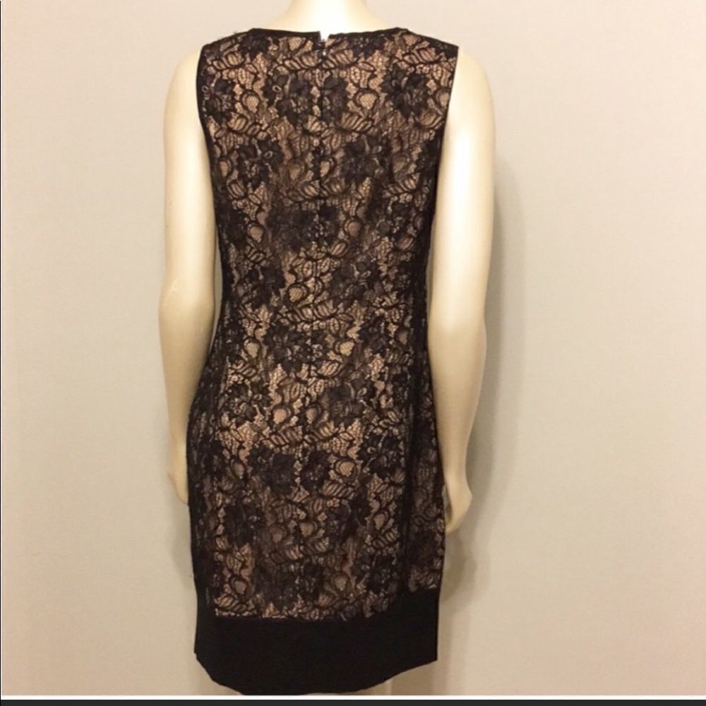 Cache lace dress - Picture 3 of 11
